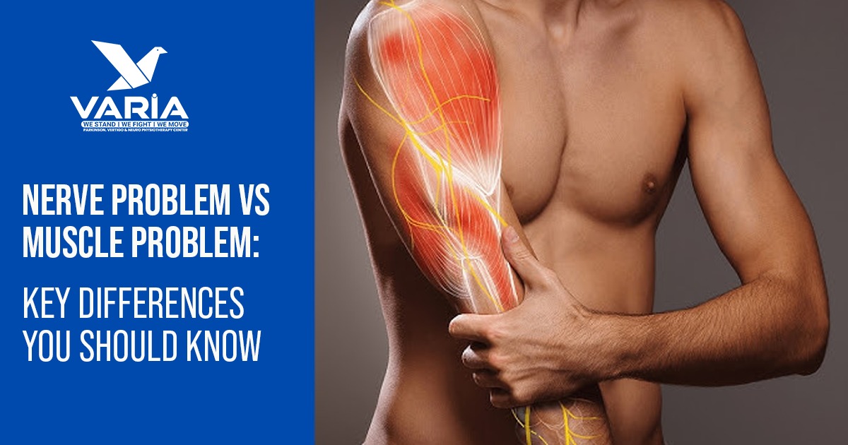 Nerve Problem vs Muscle Problem: Key Differences You Should Know