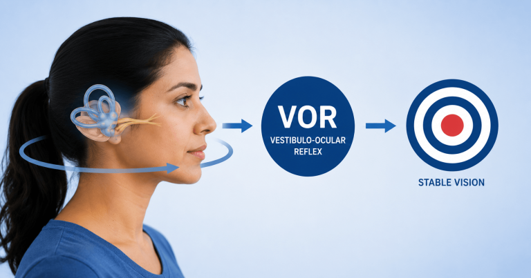 Vestibulo-Ocular Reflex (VOR) Exercises